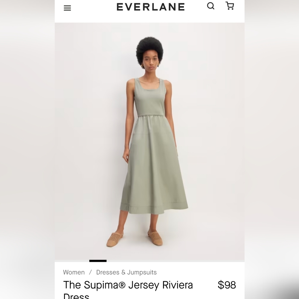 Everlane Riviera Sage Dress Tank A-Line Medium 8/10